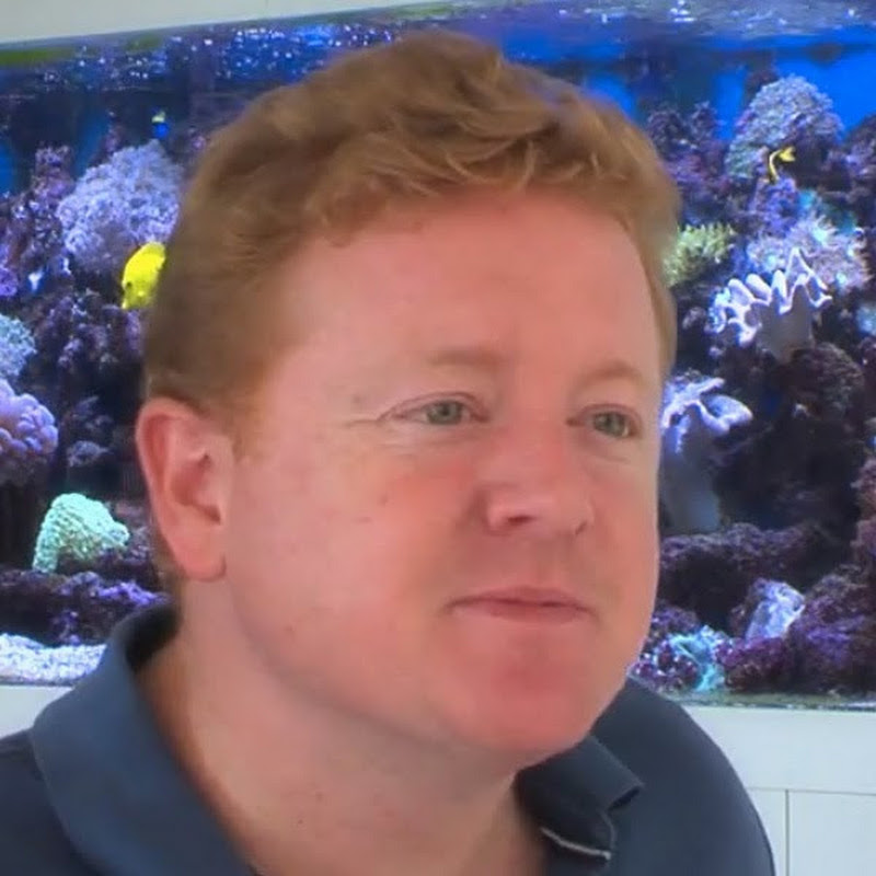 Majestic Aquariums
