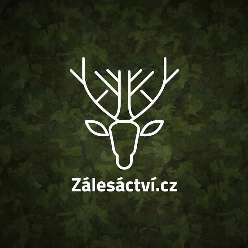 Zálesáctví.cz