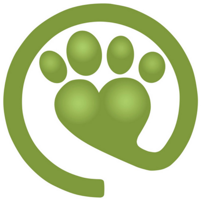 Animaux en ligne