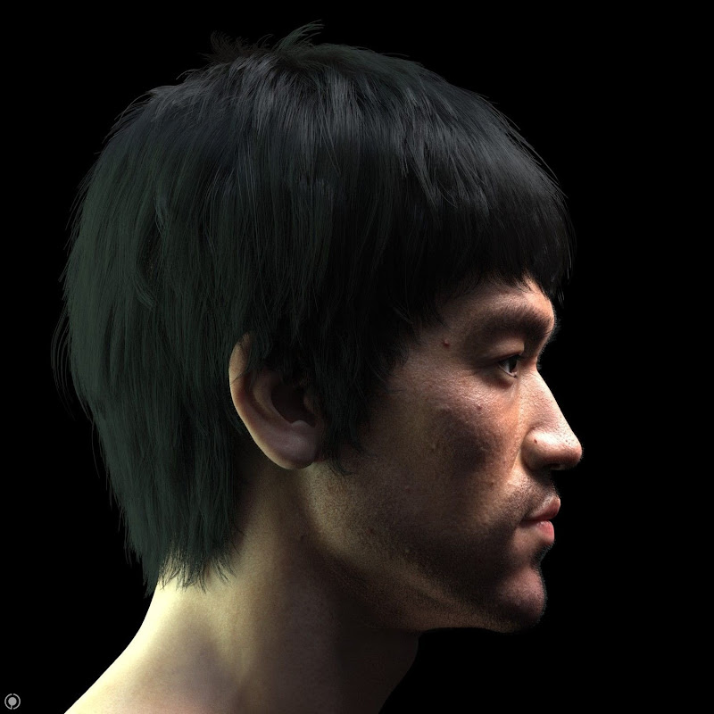 Bruce Lee UFC Fights
