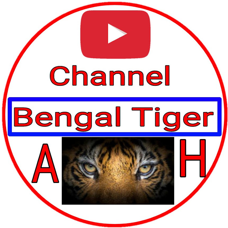 Bengal Tiger A H