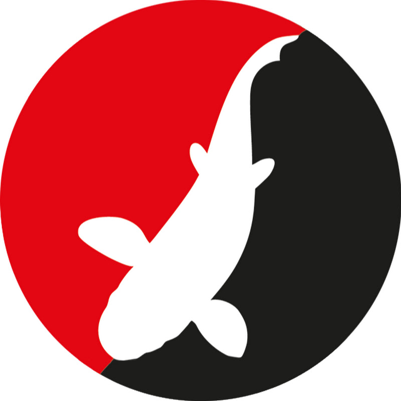 Koi-Breeder AG Schinznach-Dorf