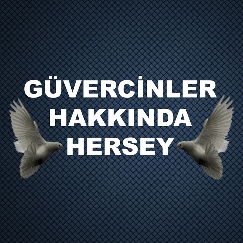 GÜVERCİNLER HAKKINDA HERŞEY