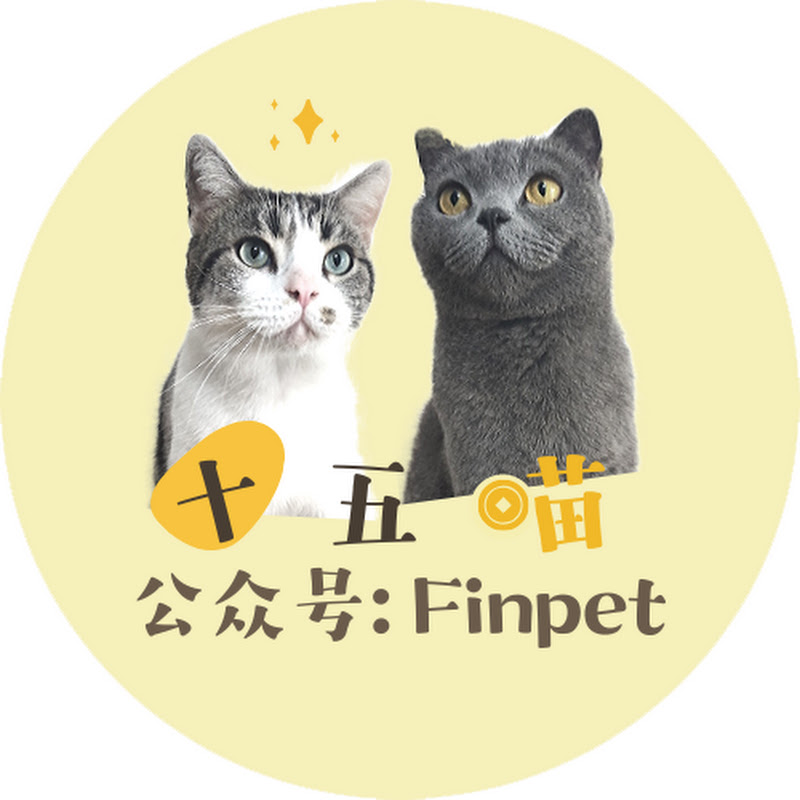 十五喵金融