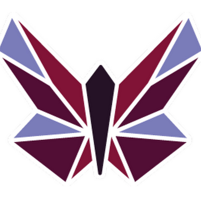 METAMORFOSIS Pro