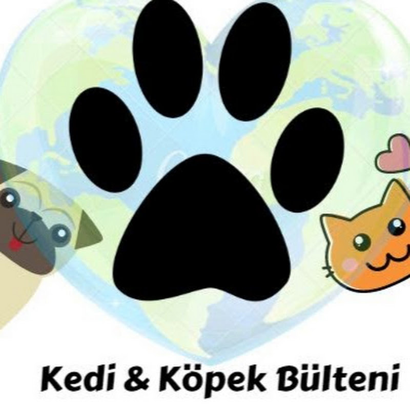 Kedi Köpek Bülteni