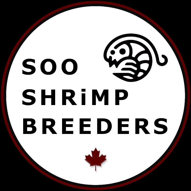 Soo Shrimp Breeders