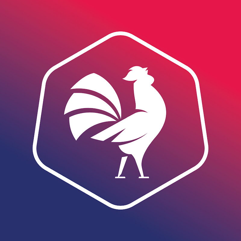Fédération Française De Football Américain