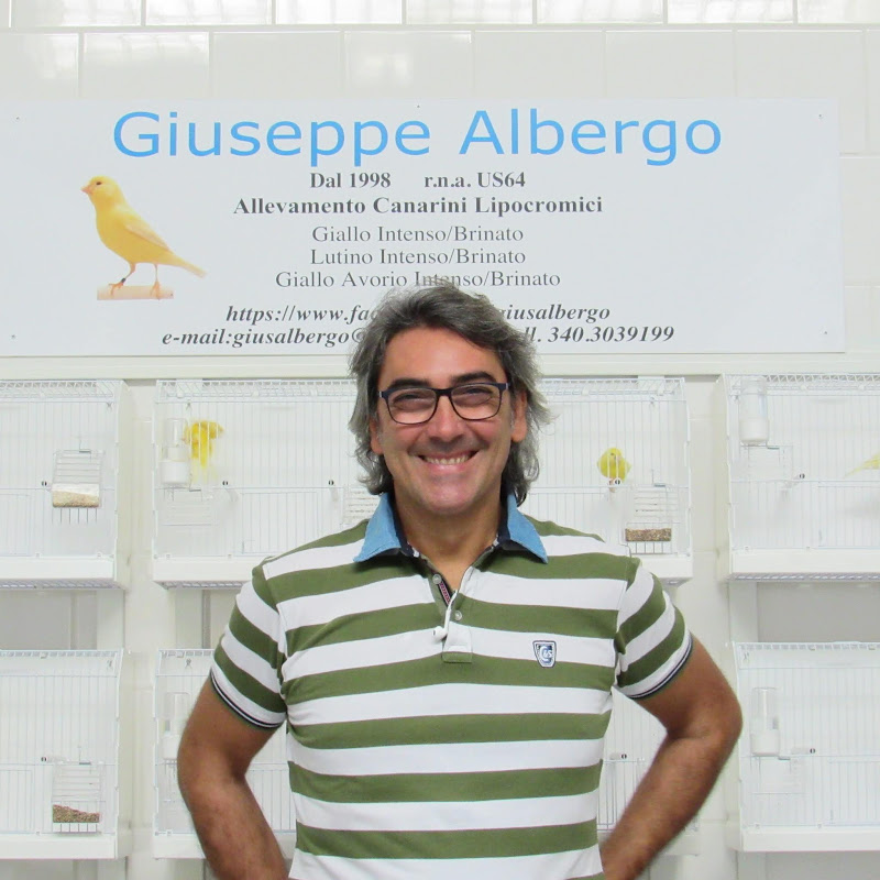 Giuseppe Albergo