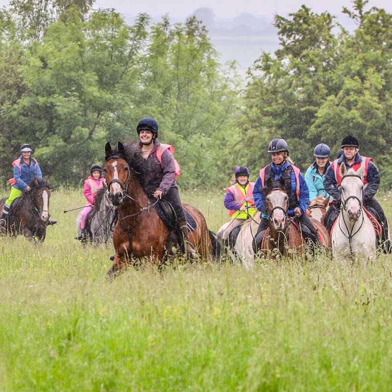 Derbyshire Pony Trekking