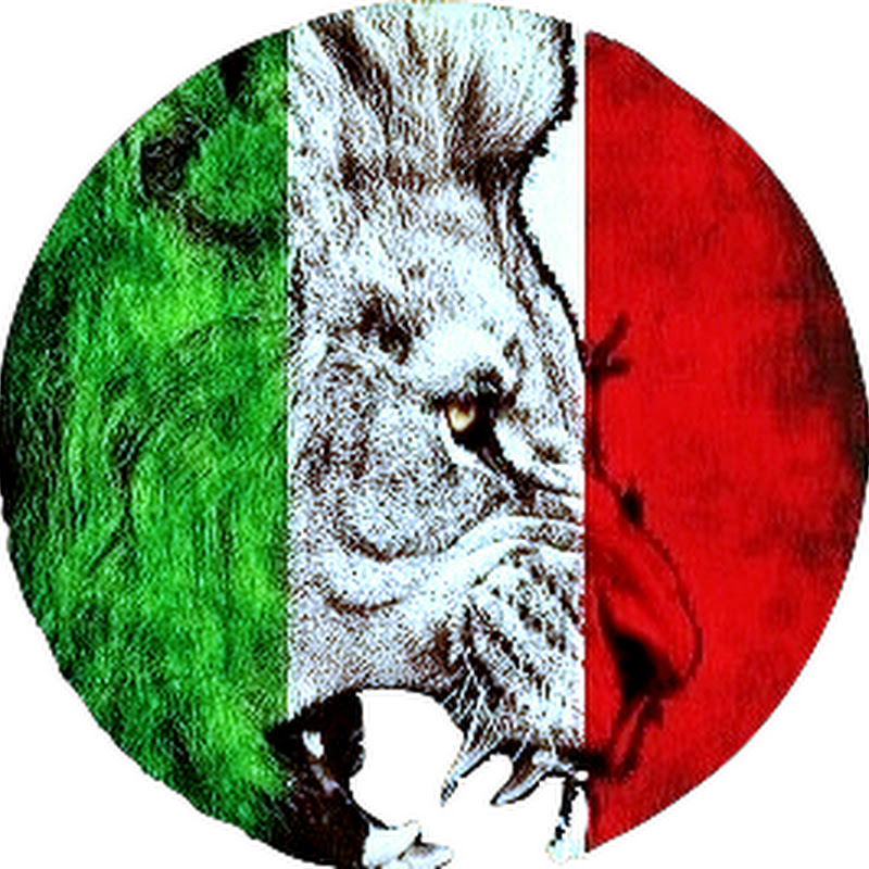 IlCoraggioDelLeone