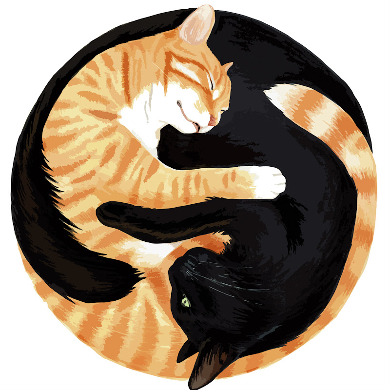 Cole And Marmalade