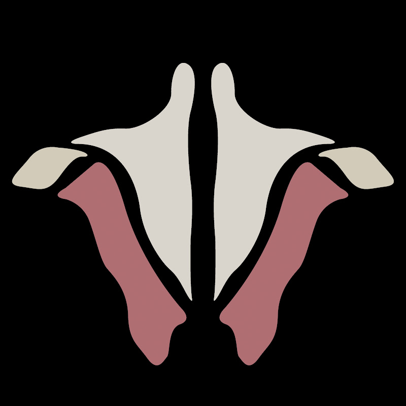 Institute Of Human Anatomy