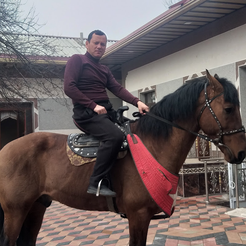 LIDR Uz