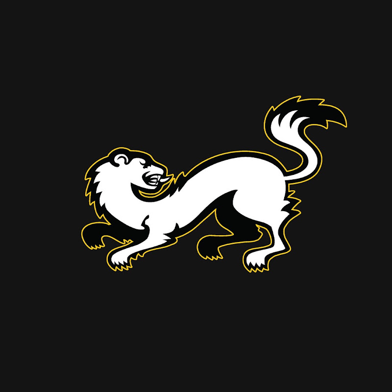 Oulun Kärpät