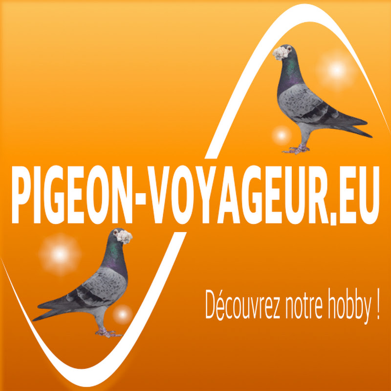 Portail De La Colombophilie
