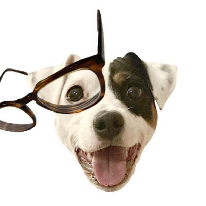 introvert & dog
