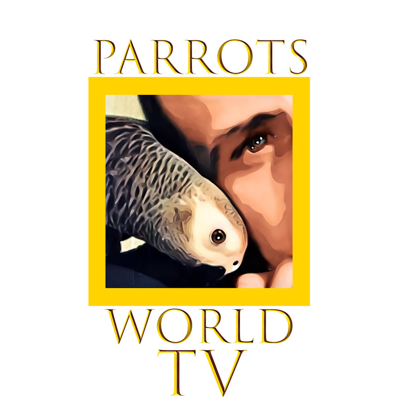 Parrots World TV ابو احمد الرفاعي