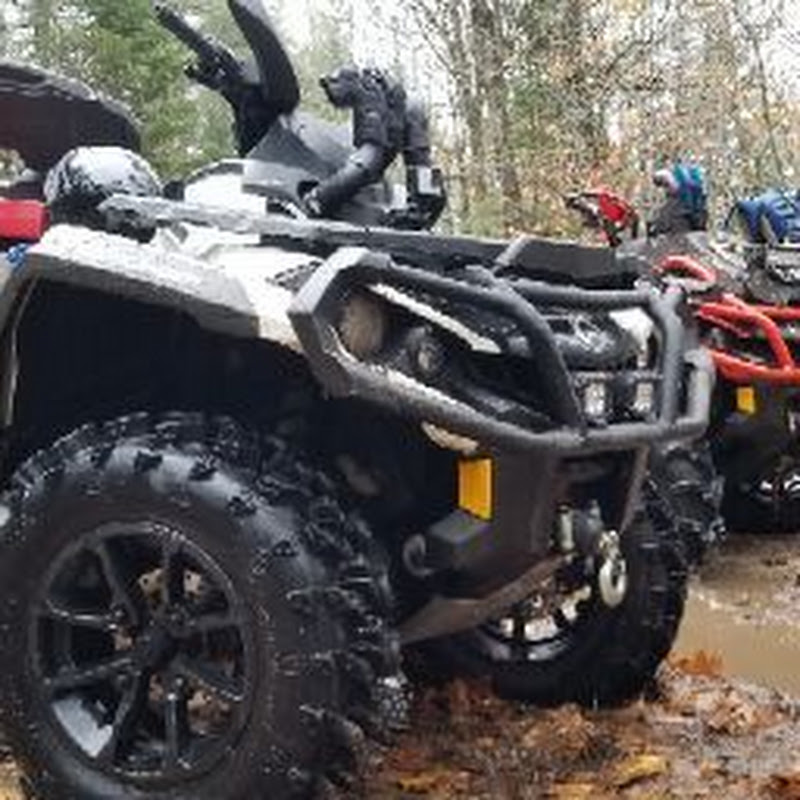ATV Buds