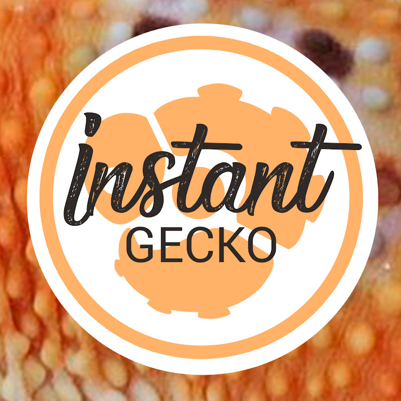 Instant Gecko