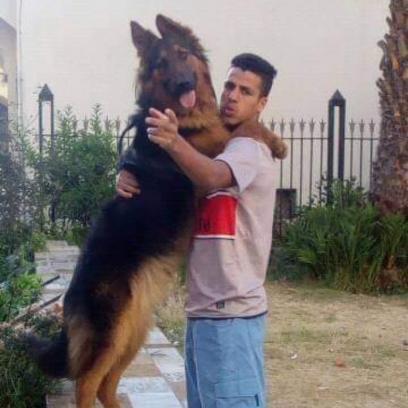 Oussama Coubra