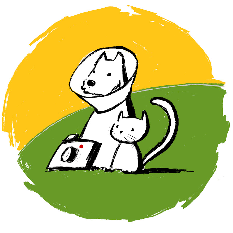 猫本狗崽队 Meowbourne Puppyrazzi