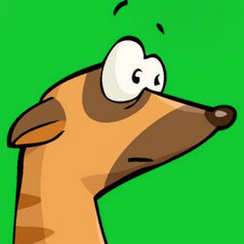 Timon Se Ha Vuelto Loco