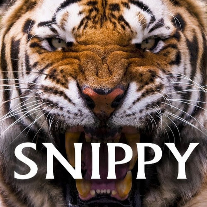 Snippy Norsk Fifa