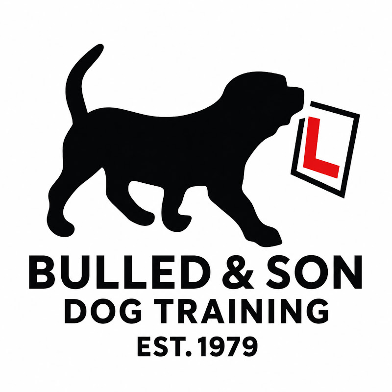 Bulled and Son Dog Training