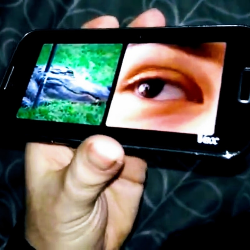 Phone Dabler