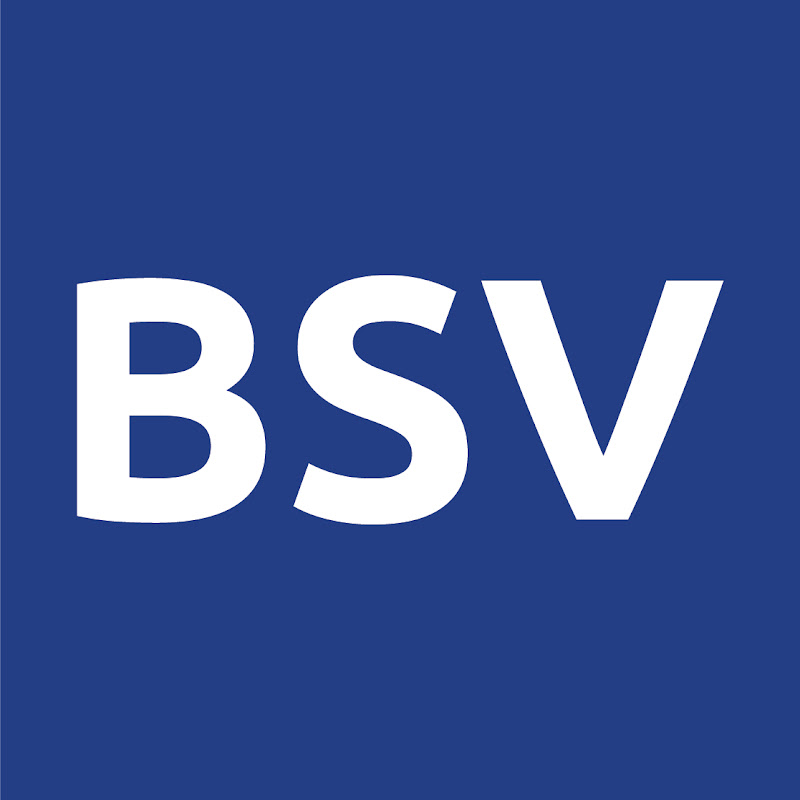 BSV Blockchain