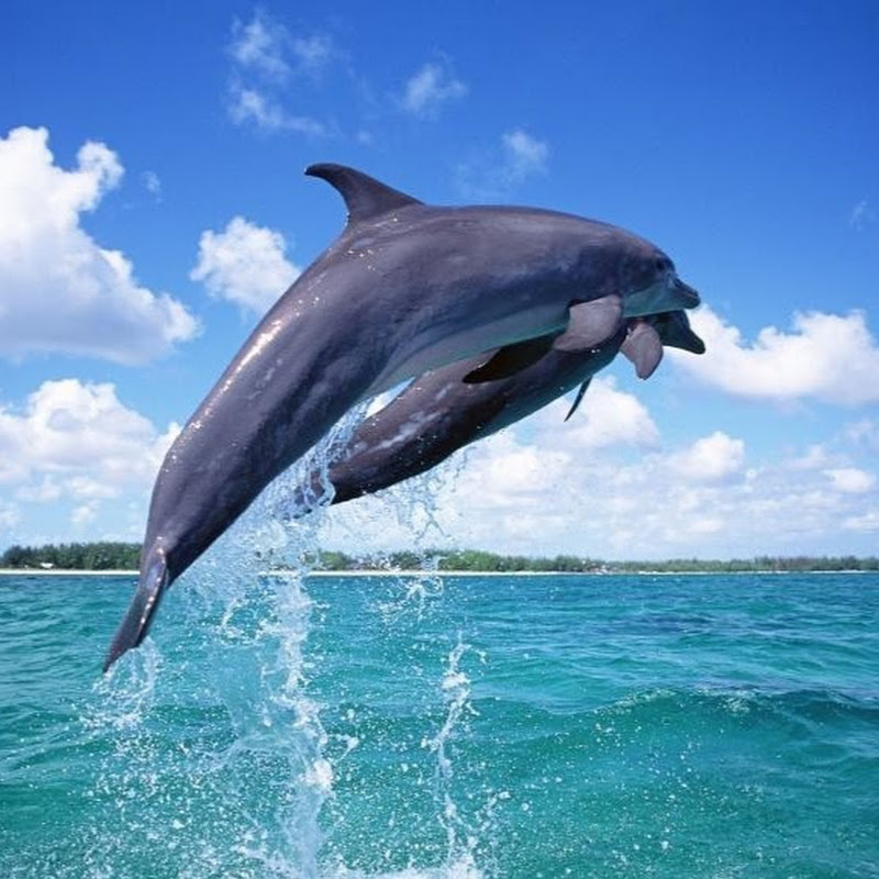 Crimea Relaxing Sounds Of Nature