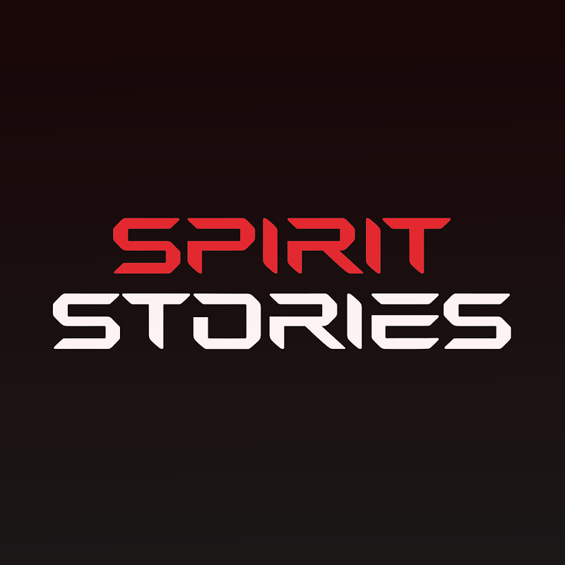 MMA Spirit • Home of Champions