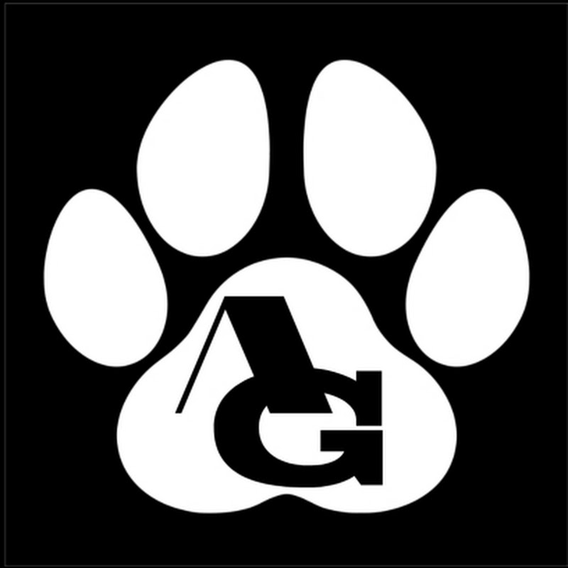 Animals Gallery