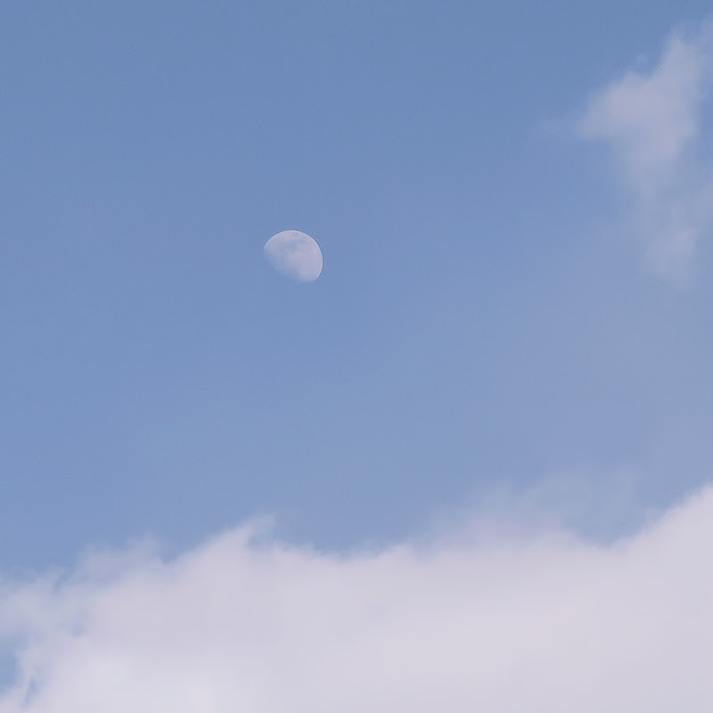 Milkcloud