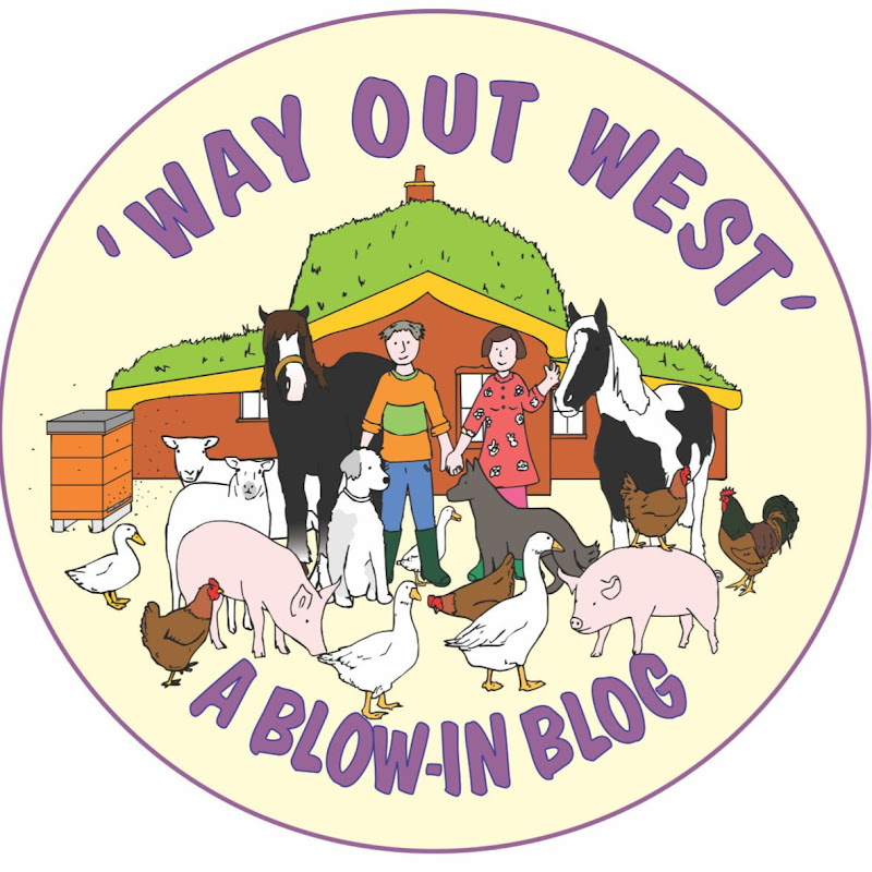 WAY OUT WEST With Sandra And Tim