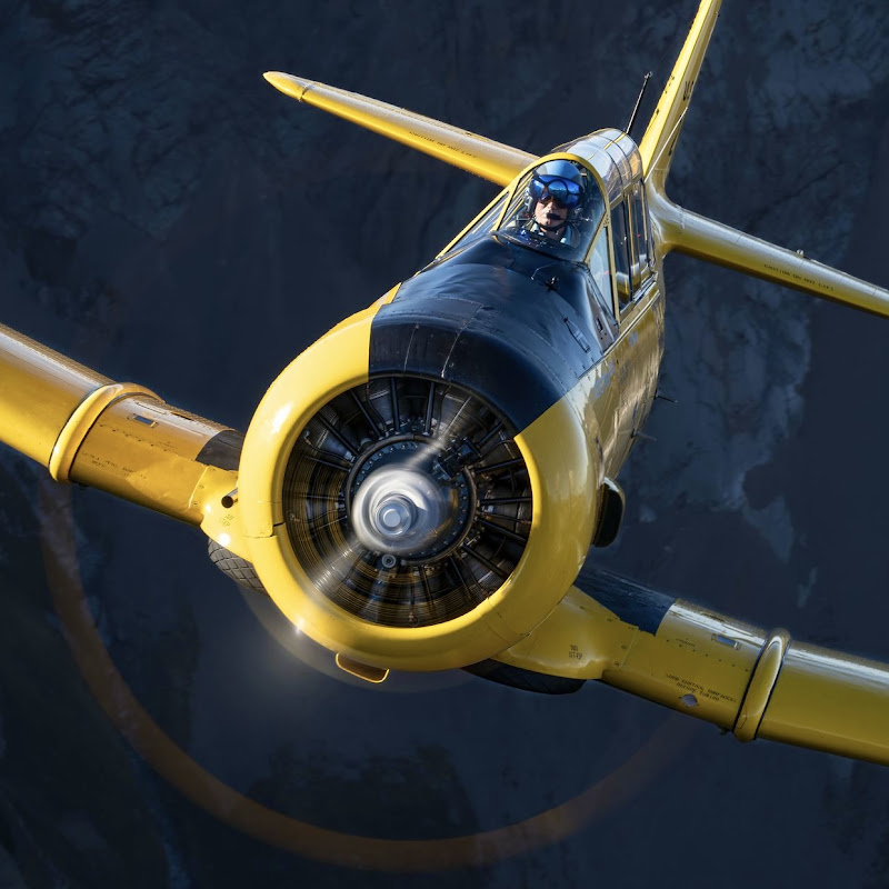 WARBIRD-AVIATION