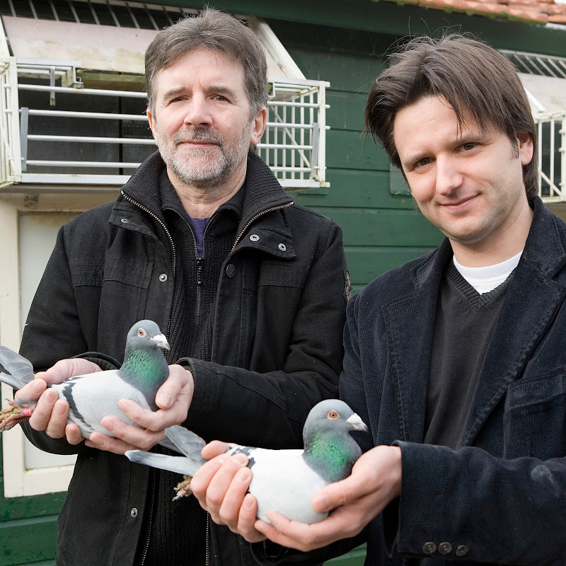 Ebbenpigeons