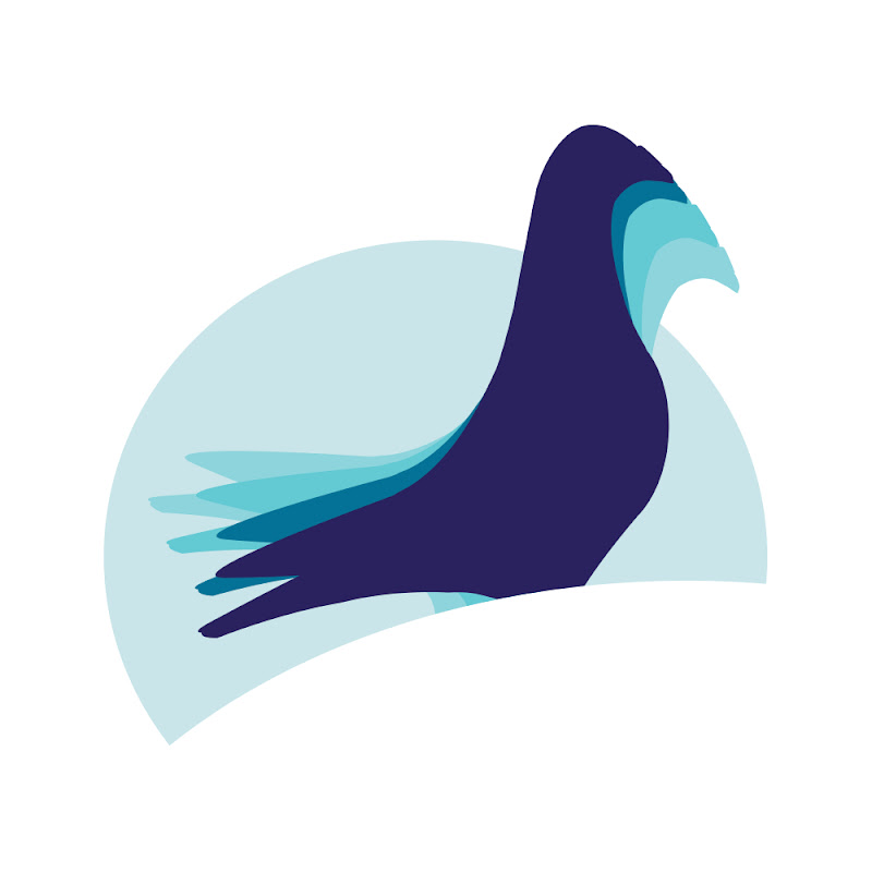 Pigeonhp