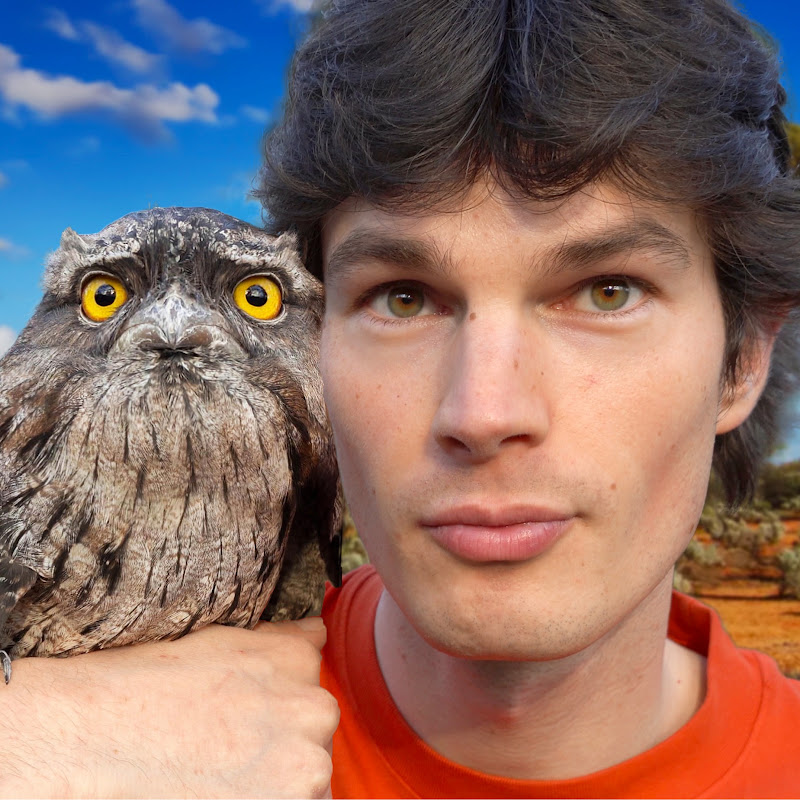 Matthias Pavlov