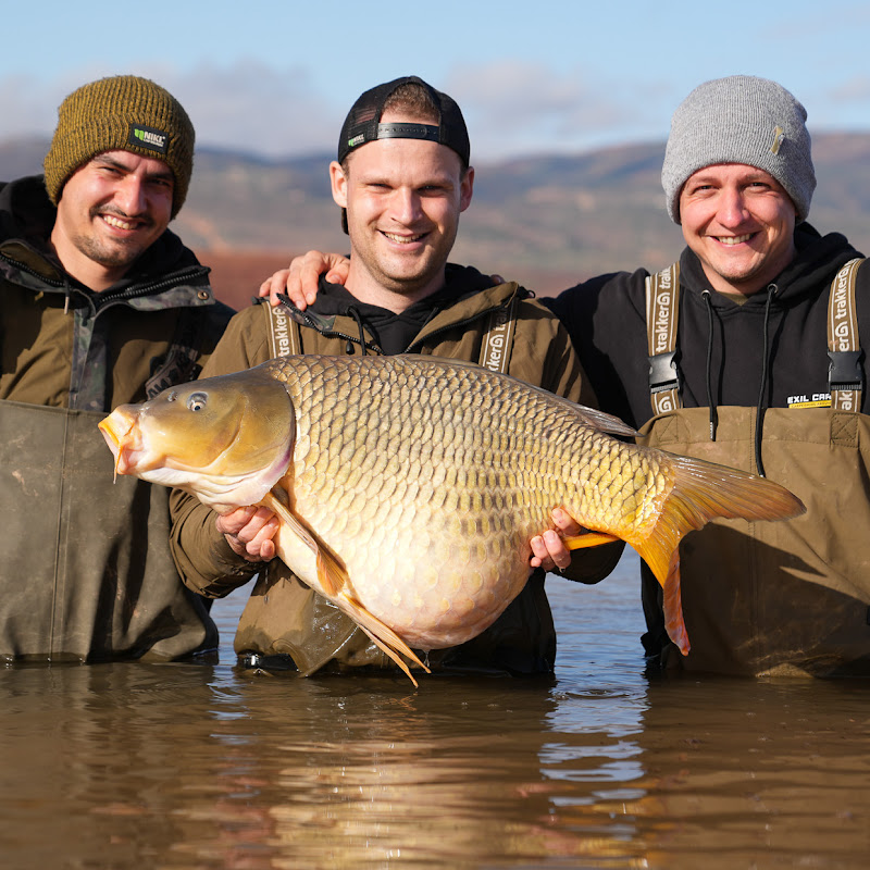 Exil Carplife