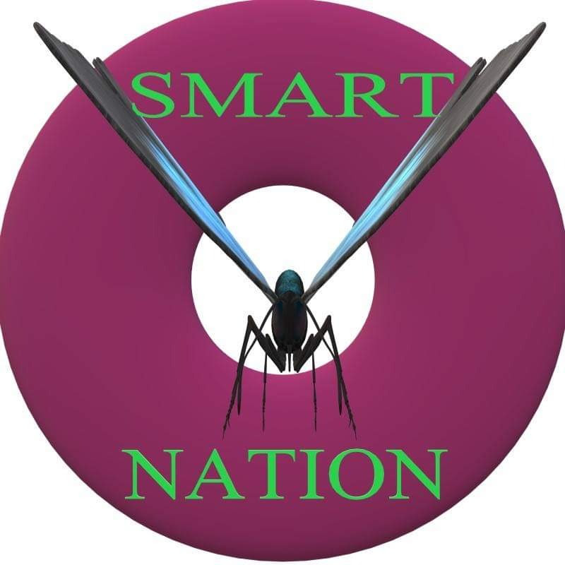 SMART NATION PRO