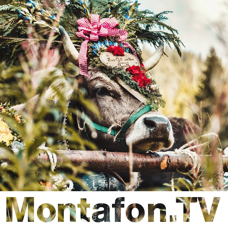 Montafon TV