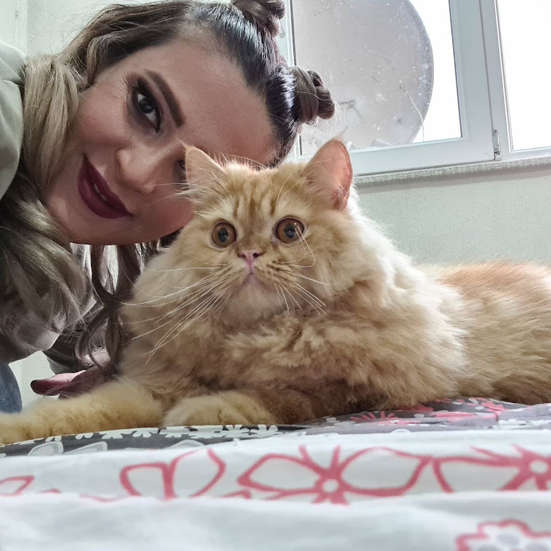 CatLover