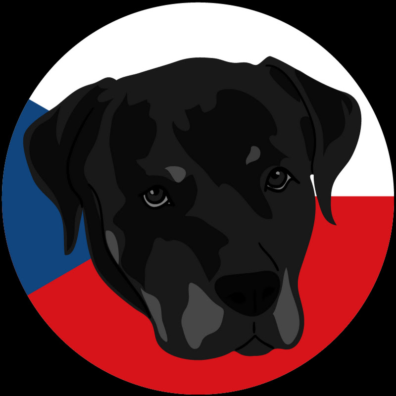 CzechMyDog