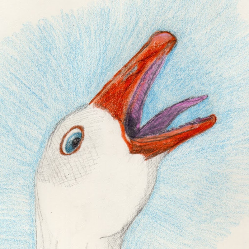 Sullivan's Goose