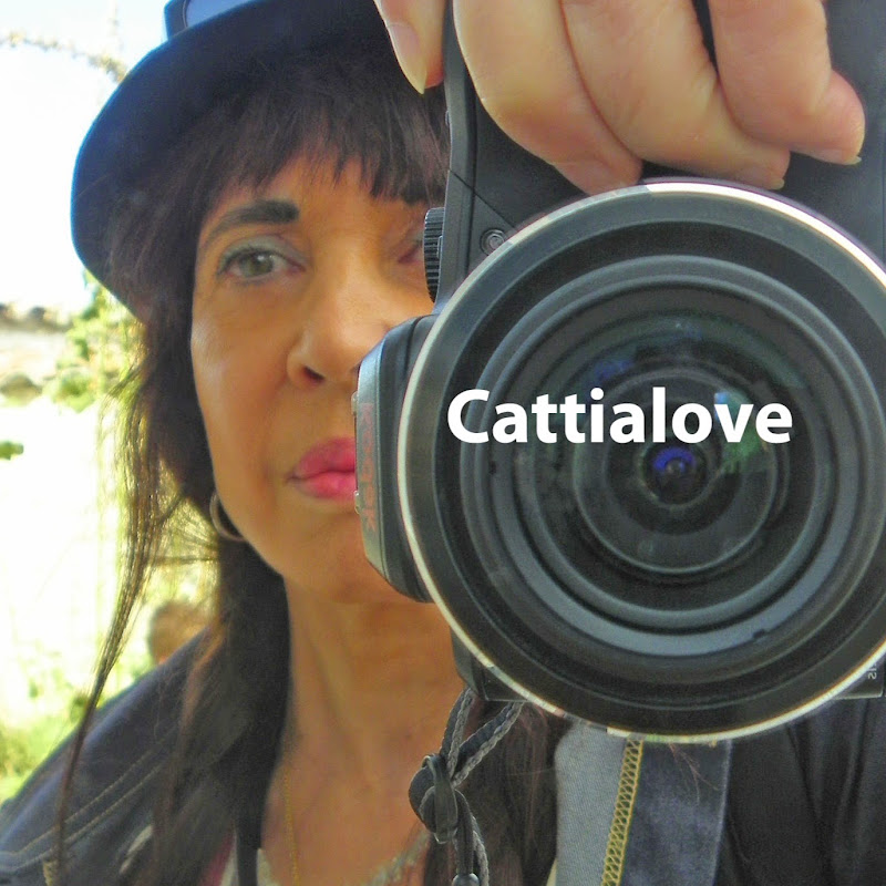 Cattialove