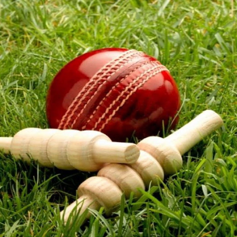 Cricket Best Clips