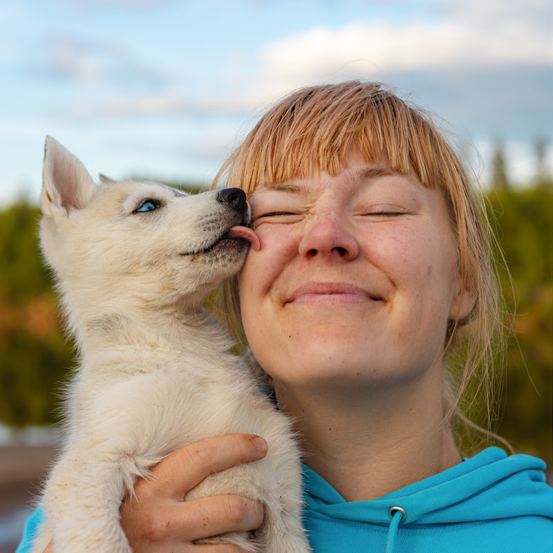 Pauliina | HAPPY HUSKIES 🐾