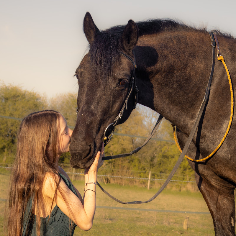 Thea_equestrian